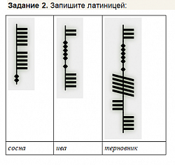 рис.3